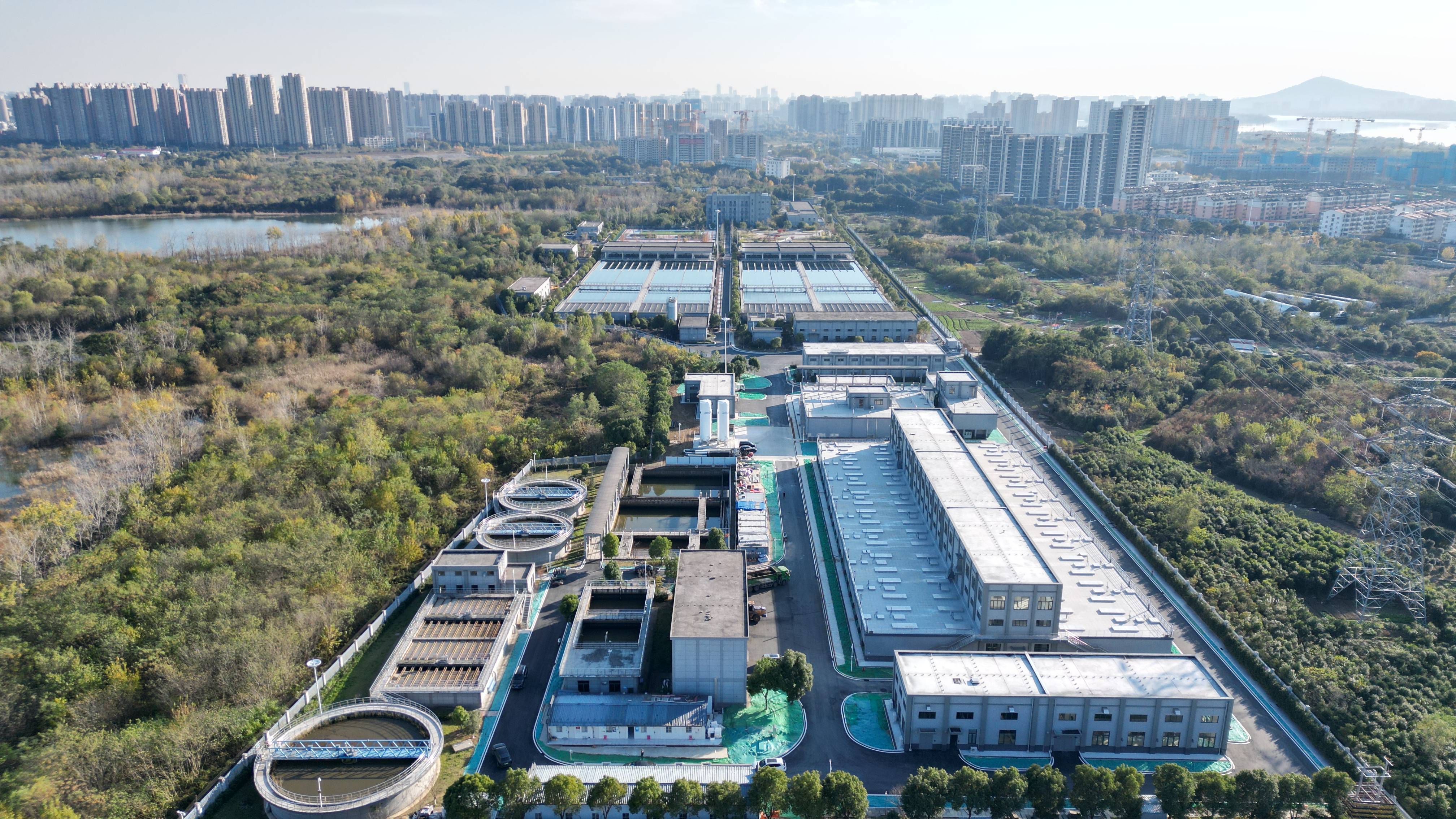 衡水市合肥专业企业价值增长(合肥市重点企业产业目录)