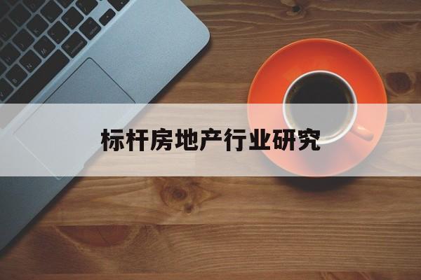衡水市标杆房地产行业研究(房地产领域的标杆人物)