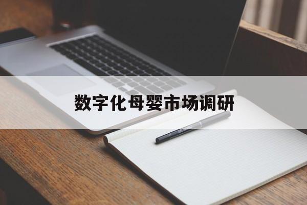 衡水市数字化母婴市场调研(数字化母婴市场调研报告)